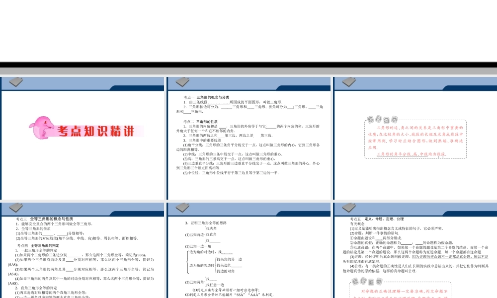 中考数学专题复习 第19讲 三角形与全等三角形课件  课件