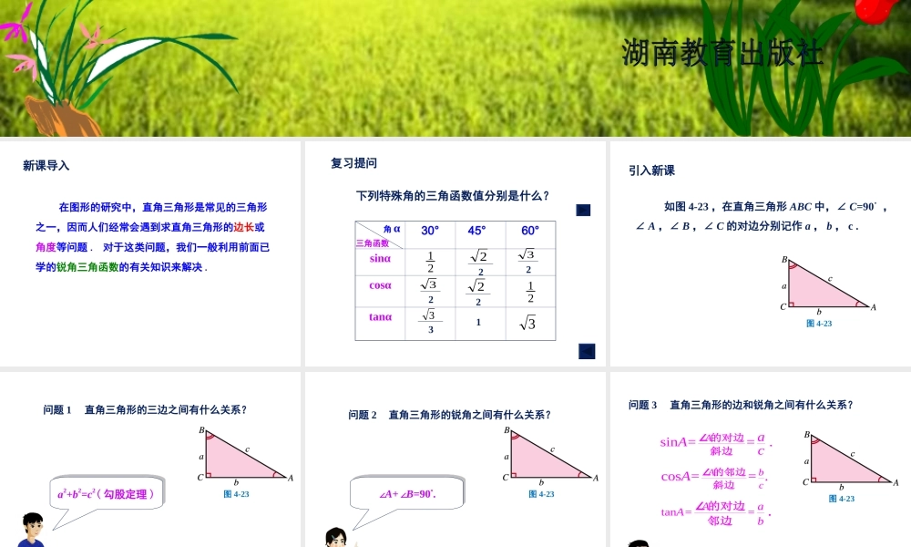 4.3--解直角三角形