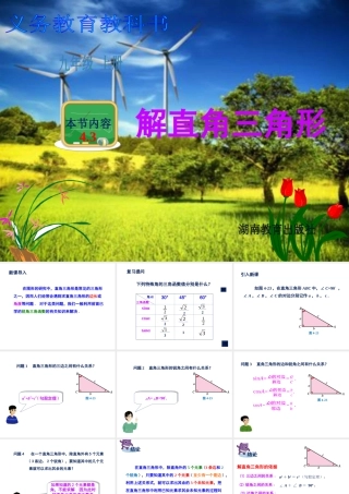4.3--解直角三角形