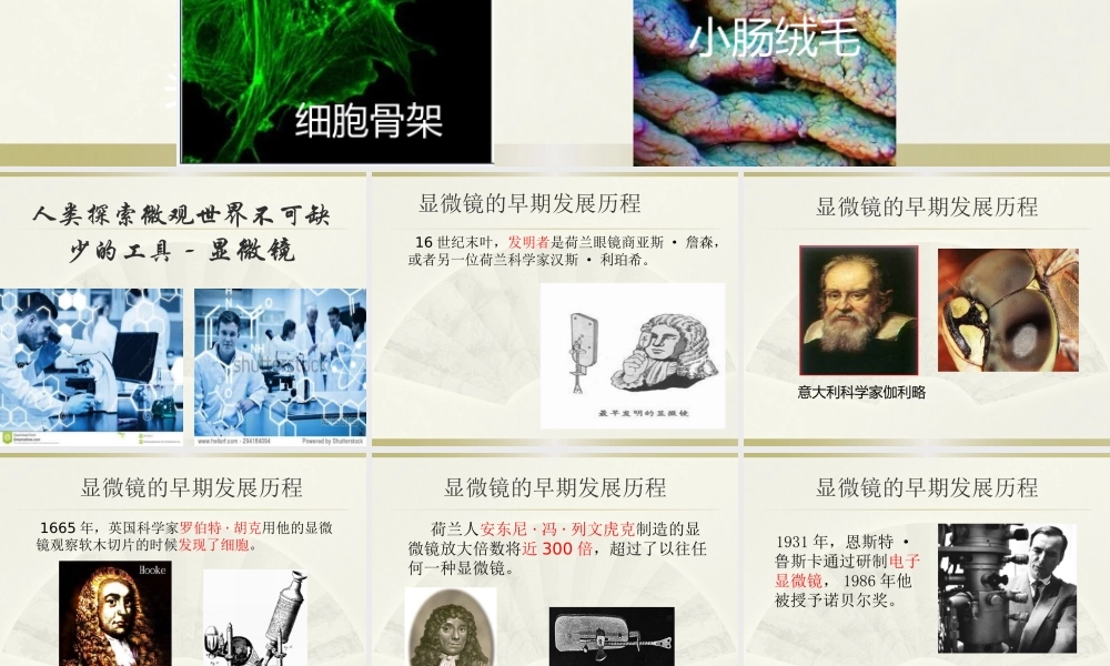 科学·技术·社会-人类探索微观世界不可缺少的工具——显微镜-(2)