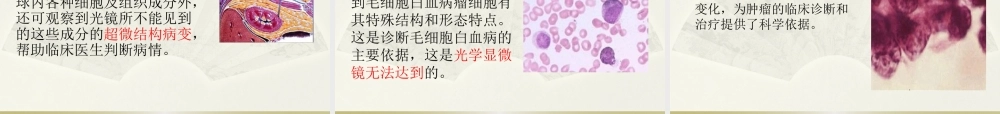 科学·技术·社会-人类探索微观世界不可缺少的工具——显微镜-(2)