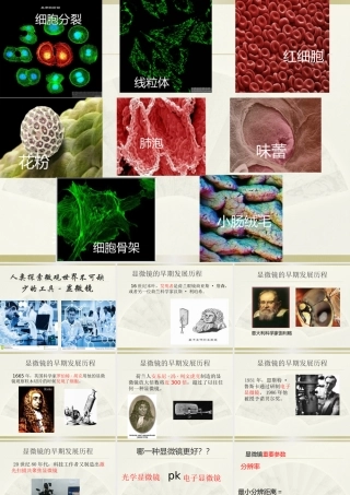科学·技术·社会-人类探索微观世界不可缺少的工具——显微镜-(2)