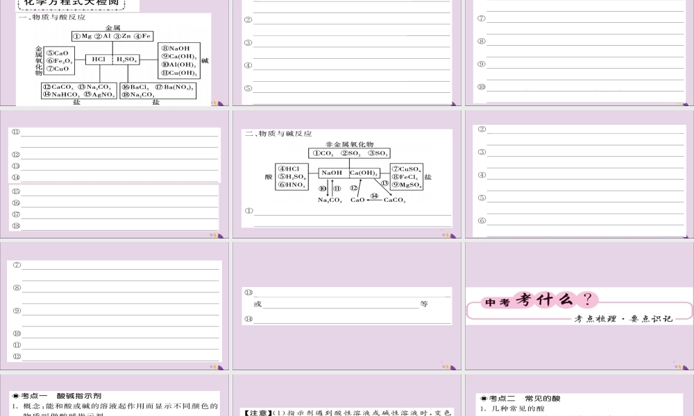 中考化学总复习 第一轮复习 系统梳理 夯基固本 第常见的酸和碱课件