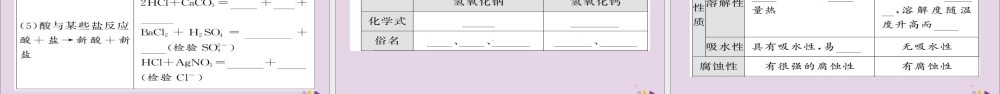 中考化学总复习 第一轮复习 系统梳理 夯基固本 第常见的酸和碱课件