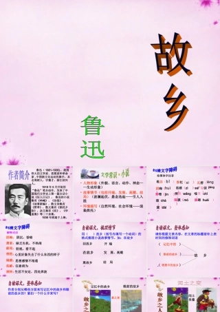 九年级语文上册 9 故乡课件1 (新版)新人教版 课件