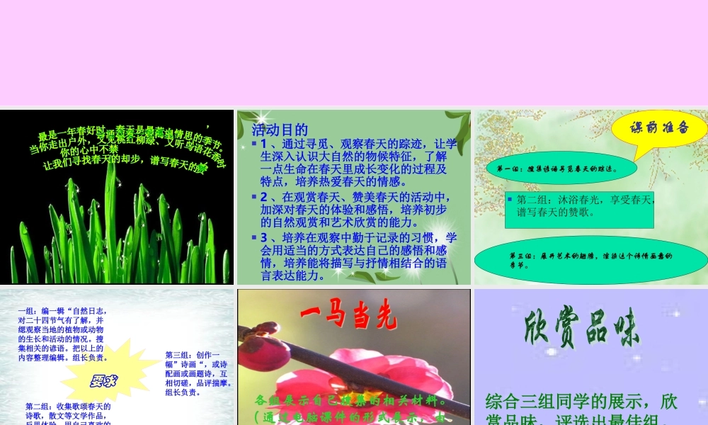 八年级语文下册(综合性学习—寻觅春天的踪迹)课件 人教新课标版 课件