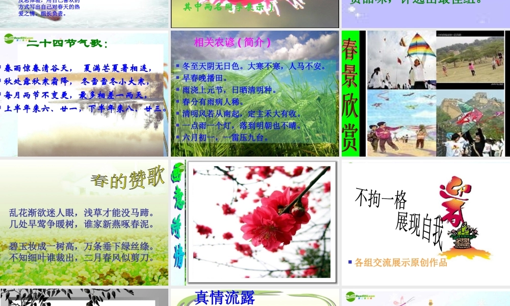 八年级语文下册(综合性学习—寻觅春天的踪迹)课件 人教新课标版 课件