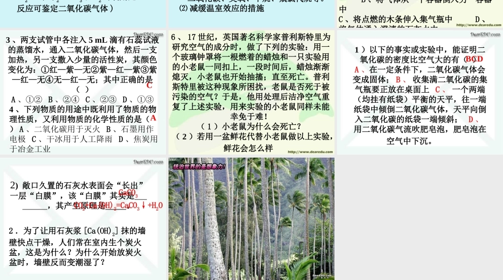 初三化学二氧化碳和一氧化碳 人教版 课件