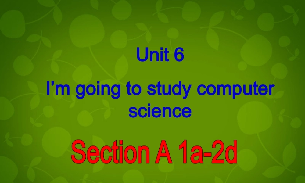 八年级英语上册 Unit 6 I m going to study computer science Section A 1课件 (新版)人教新目标版 课件