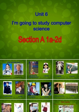 八年级英语上册 Unit 6 I m going to study computer science Section A 1课件 (新版)人教新目标版 课件