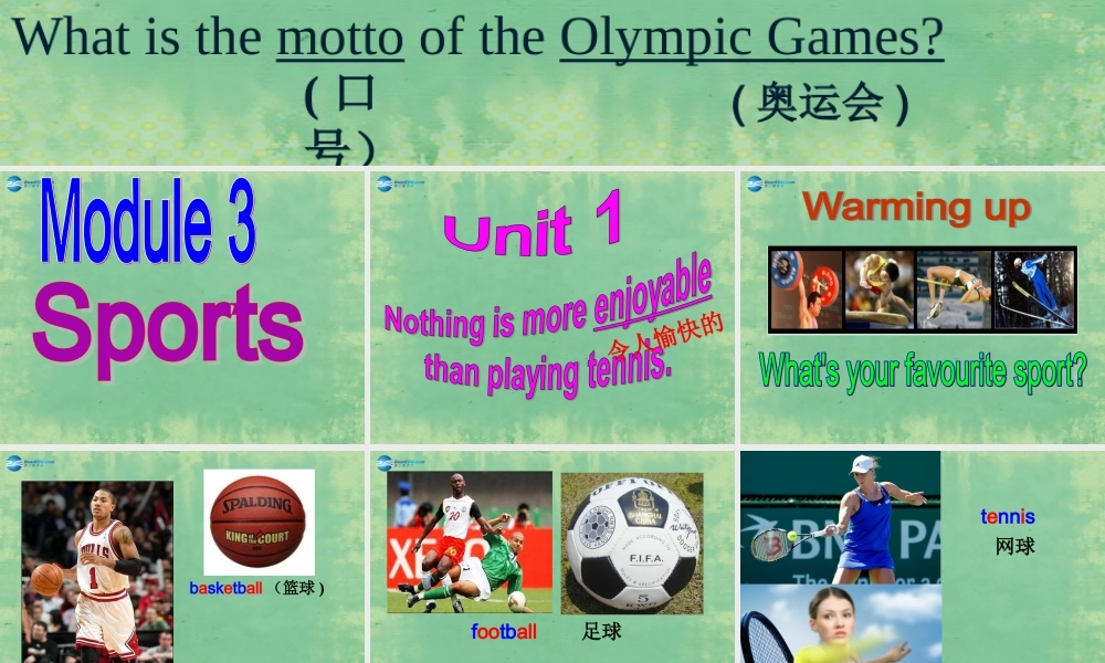 八年级英语上册 Module 3 Unit 1 Nothing is more exciting than playing tennis课件(新版)外研版 课件
