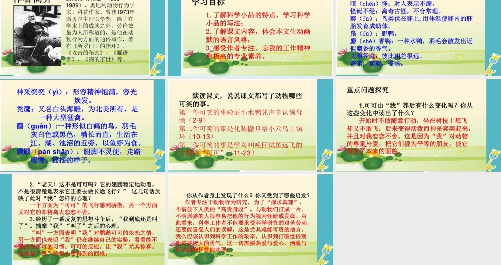 七年级语文上册 第五单元 17(动物笑谈)康拉德劳伦兹教学课件 新人教版 课件