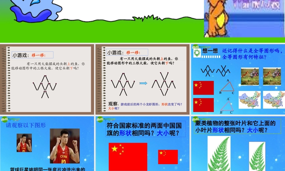 八年级数学下册 4-3形状相同的图形 课件 北师大版 课件