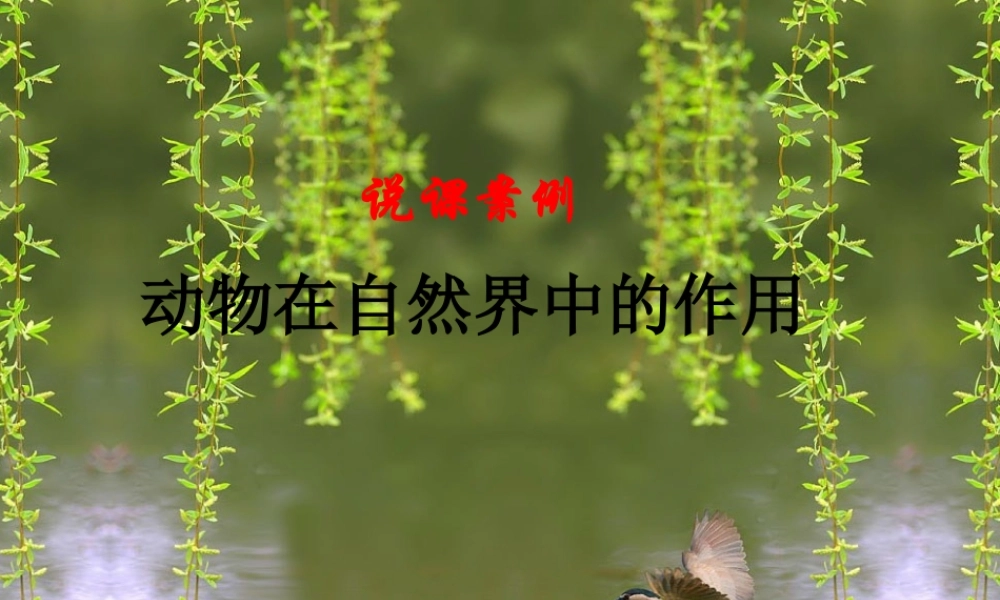 八年级生物动物在自然界中的作用说课课件