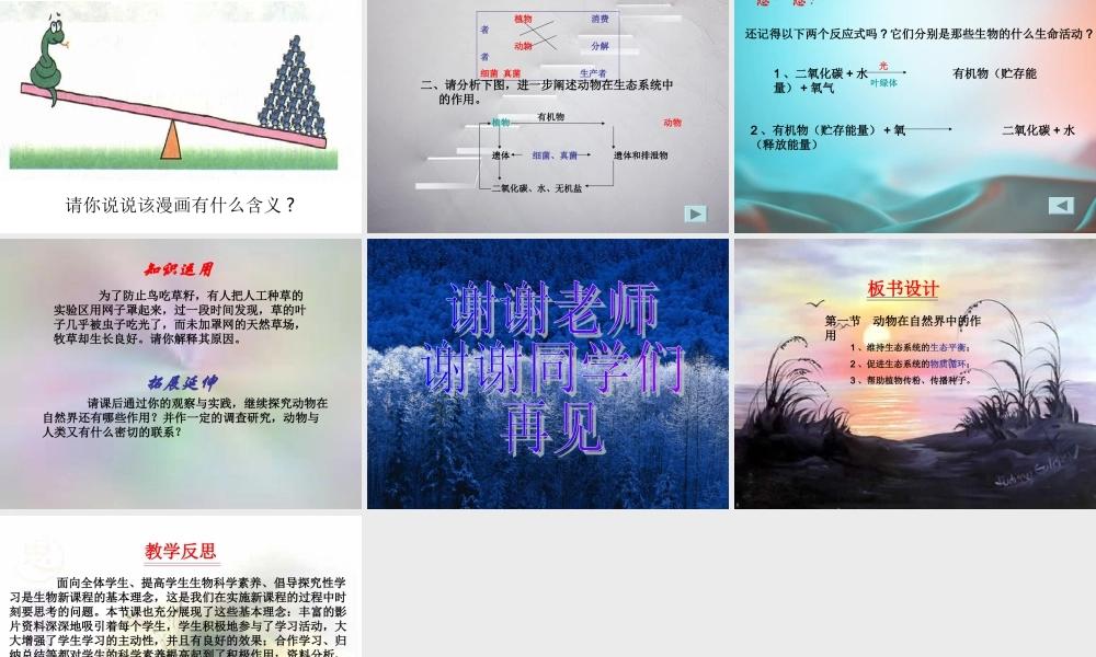 八年级生物动物在自然界中的作用说课课件