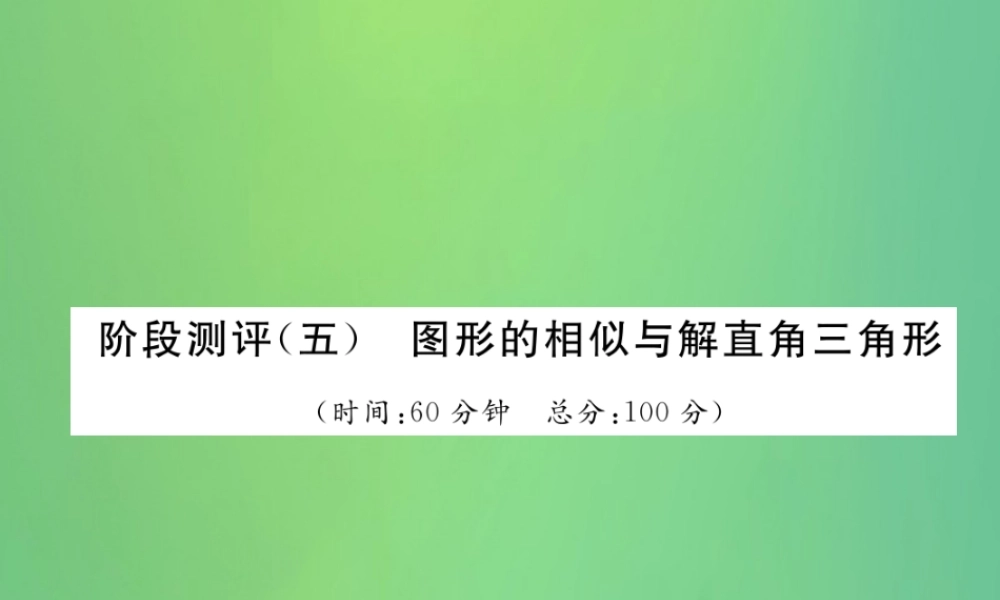 中考数学复习 第5章 图形的相似与解直角三角形阶段测评(五)图形的相似与解直角三角形(精练)课件