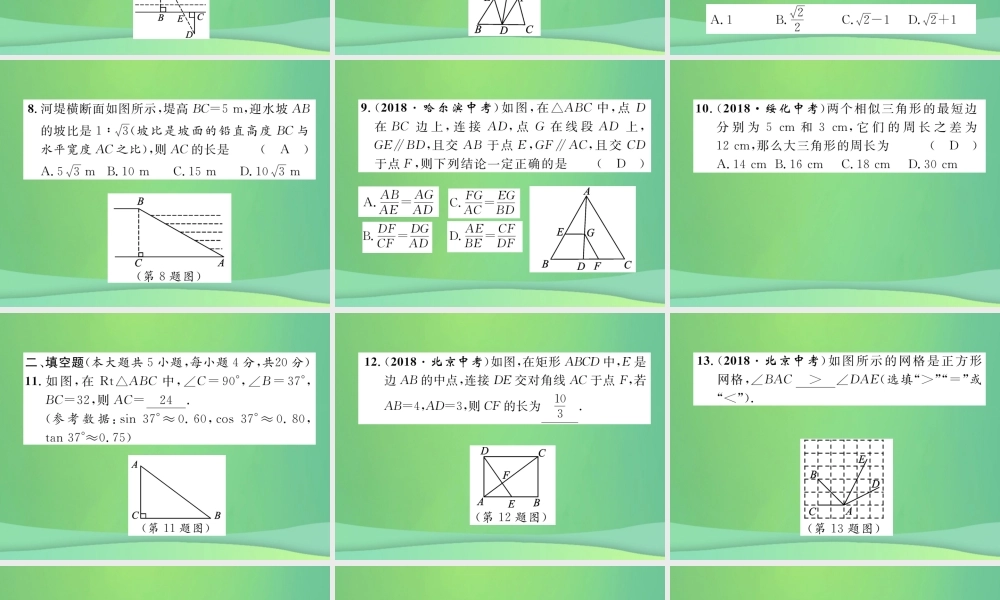 中考数学复习 第5章 图形的相似与解直角三角形阶段测评(五)图形的相似与解直角三角形(精练)课件