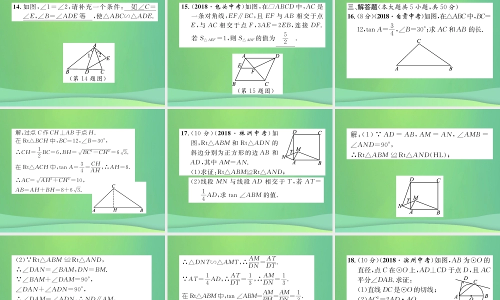 中考数学复习 第5章 图形的相似与解直角三角形阶段测评(五)图形的相似与解直角三角形(精练)课件