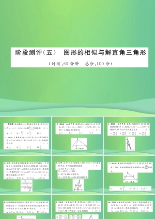 中考数学复习 第5章 图形的相似与解直角三角形阶段测评(五)图形的相似与解直角三角形(精练)课件