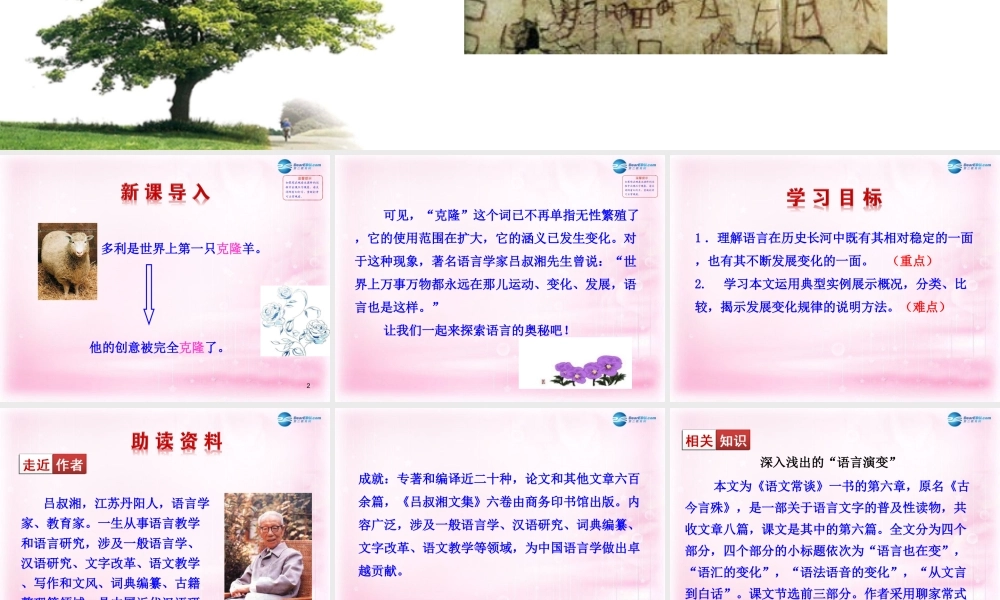 中学高三语文(第六课 语言的演变)课件