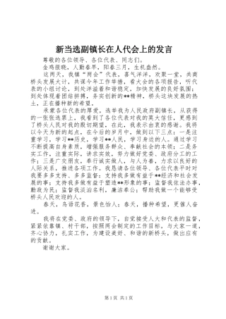 新当选副镇长在人代会上的发言