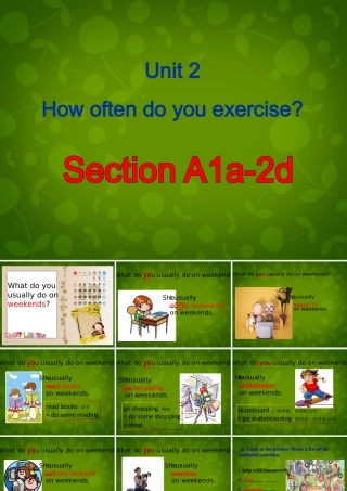 八年级英语上册 Unit 2 How often do you exercise Section A 1课件 (新版)人教新目标版 课件