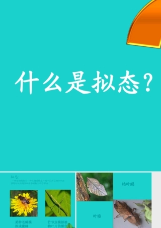 中学七年级生物上册 1.1.2 生物与环境的关系 拟态课件 苏教版 课件