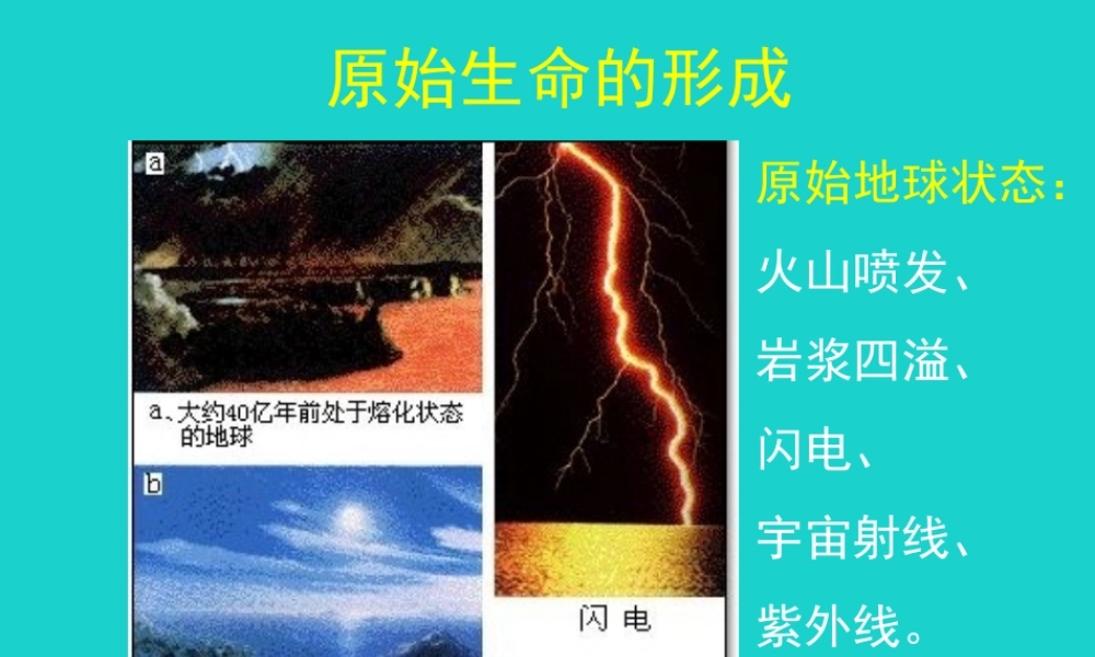 八年级生物上册 第五单元 第十六章 第一节 生命的诞生 原始生命的诞生课件 (新版)苏教版 课件