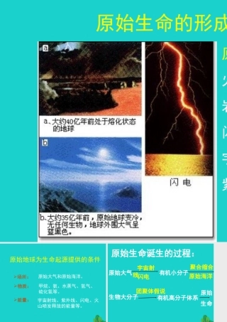 八年级生物上册 第五单元 第十六章 第一节 生命的诞生 原始生命的诞生课件 (新版)苏教版 课件