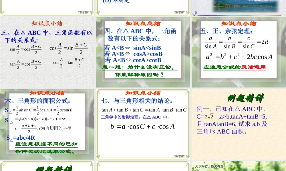 三角形中的三角函数问题 人教版 课件