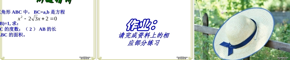 三角形中的三角函数问题 人教版 课件