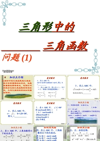 三角形中的三角函数问题 人教版 课件