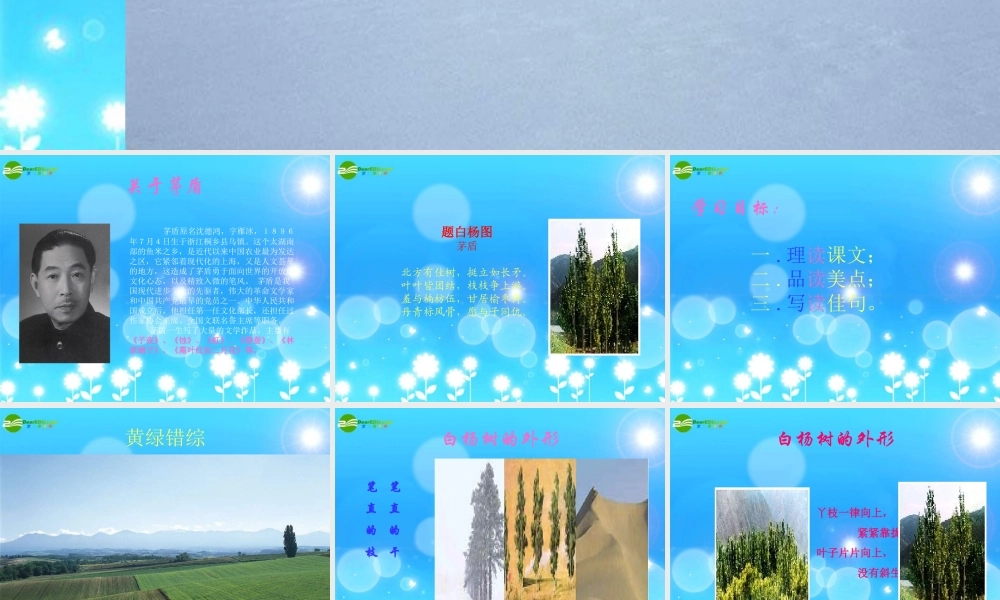 九年级语文上册 第1课(白杨礼赞)预习课件 语文版 课件