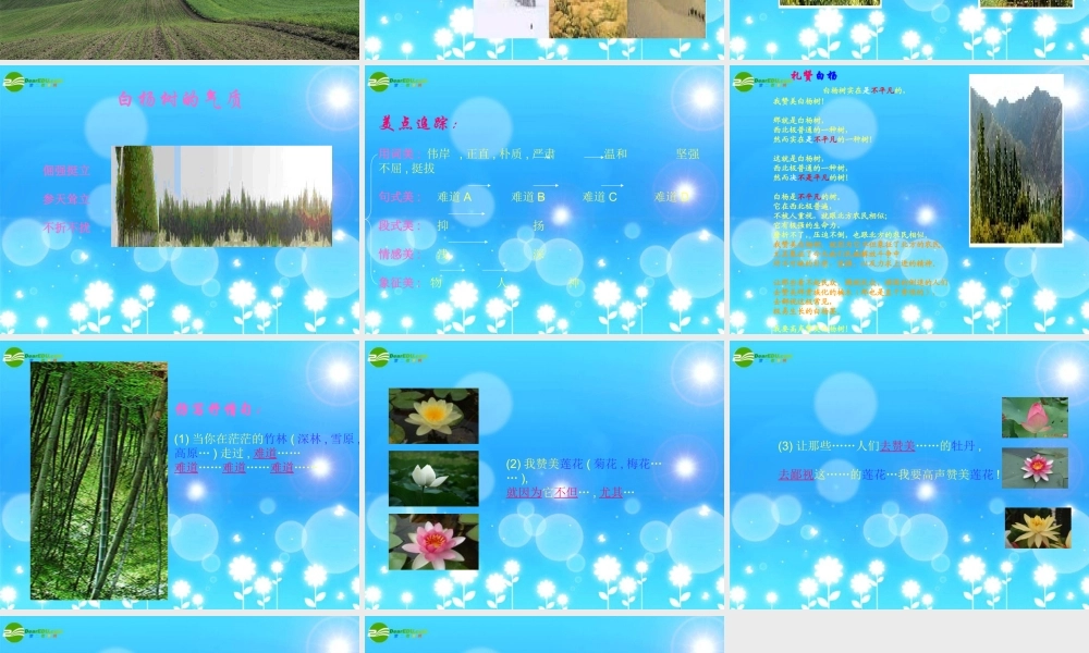 九年级语文上册 第1课(白杨礼赞)预习课件 语文版 课件