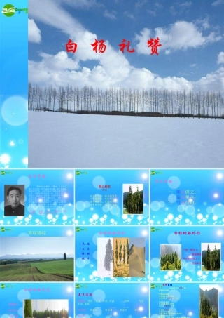 九年级语文上册 第1课(白杨礼赞)预习课件 语文版 课件