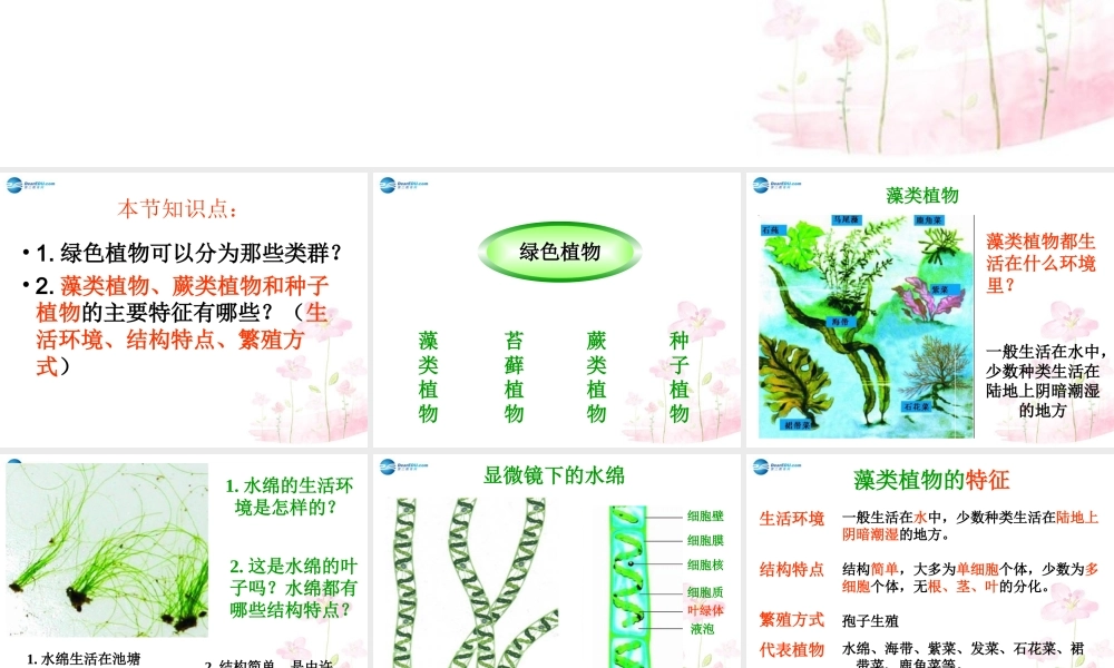 中学七年级生物上册 2.1.1 绿色植物的主要类群课件 (新版)济南版 课件