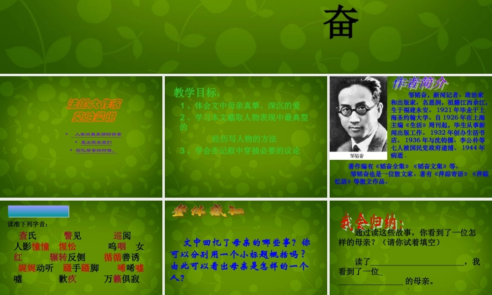 八年级语文上册 14 我的母亲课件3 苏教版 课件