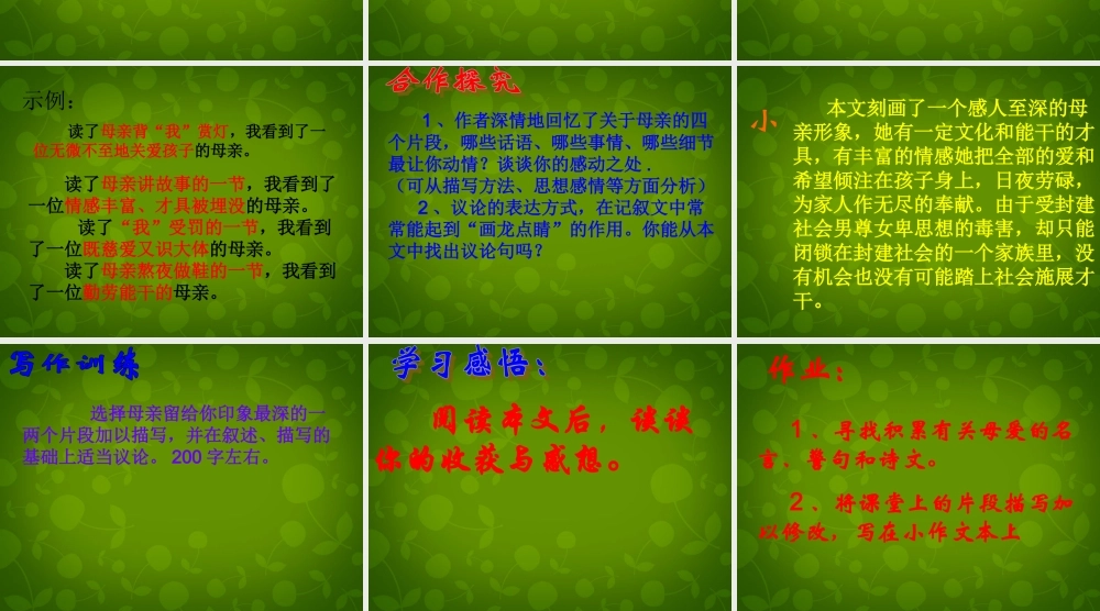 八年级语文上册 14 我的母亲课件3 苏教版 课件