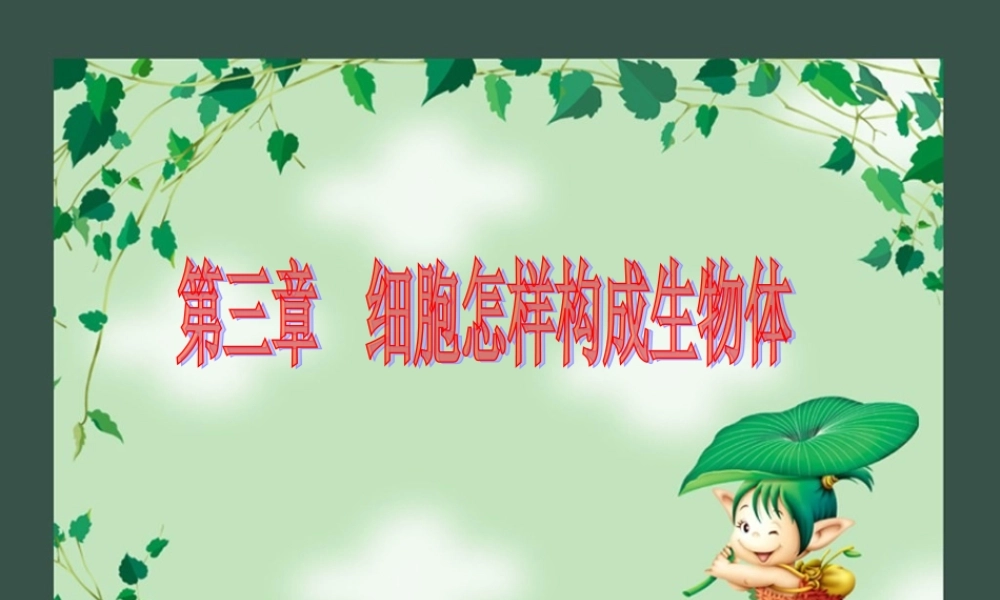 初一生物第三章第一节《动物体的结构层次》PPT课件