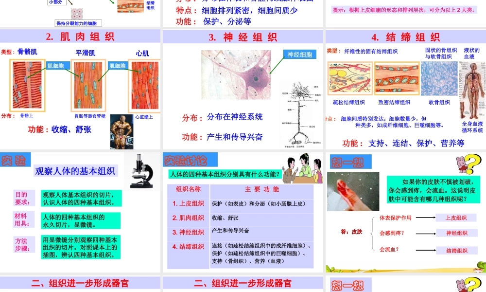 初一生物第三章第一节《动物体的结构层次》PPT课件