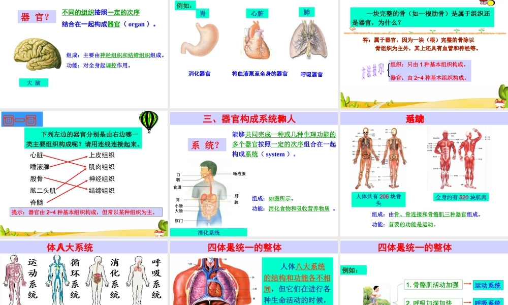 初一生物第三章第一节《动物体的结构层次》PPT课件