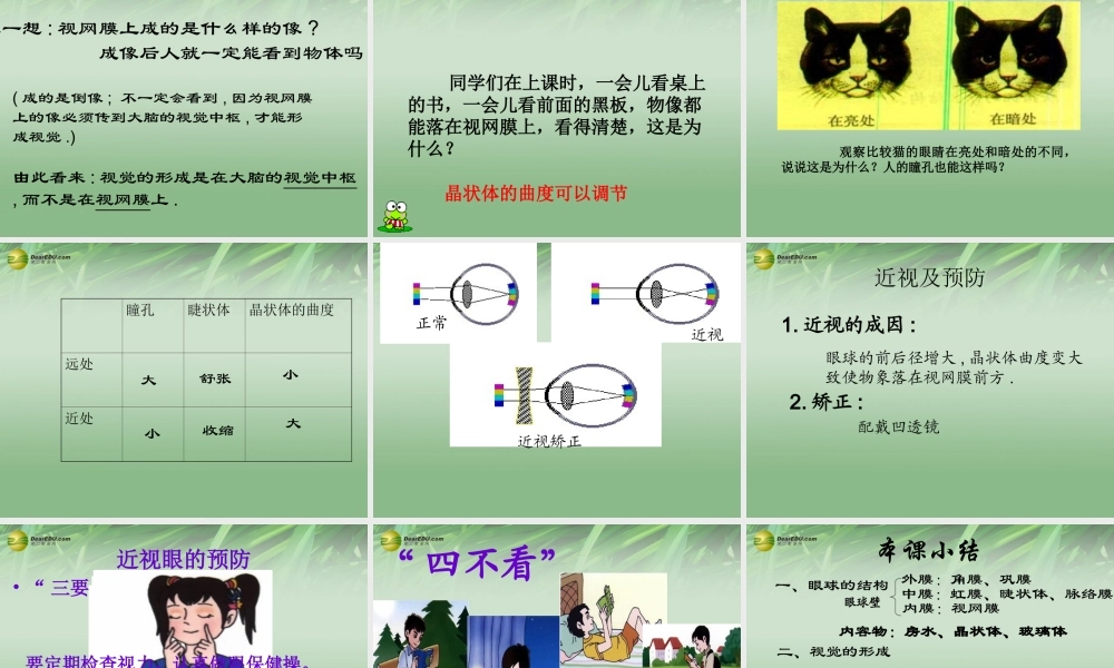 八年级生物下册 第六章 人体对外界环境感知配套课件1 鲁科版 课件