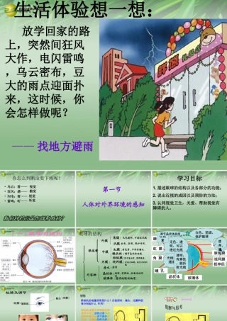 八年级生物下册 第六章 人体对外界环境感知配套课件1 鲁科版 课件