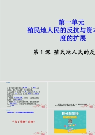 九年级历史下册 第一单元 殖民地人民的反抗与资本主义制度的扩展 第1课 殖民地人民的反抗斗争教学课件 新人教版 课件
