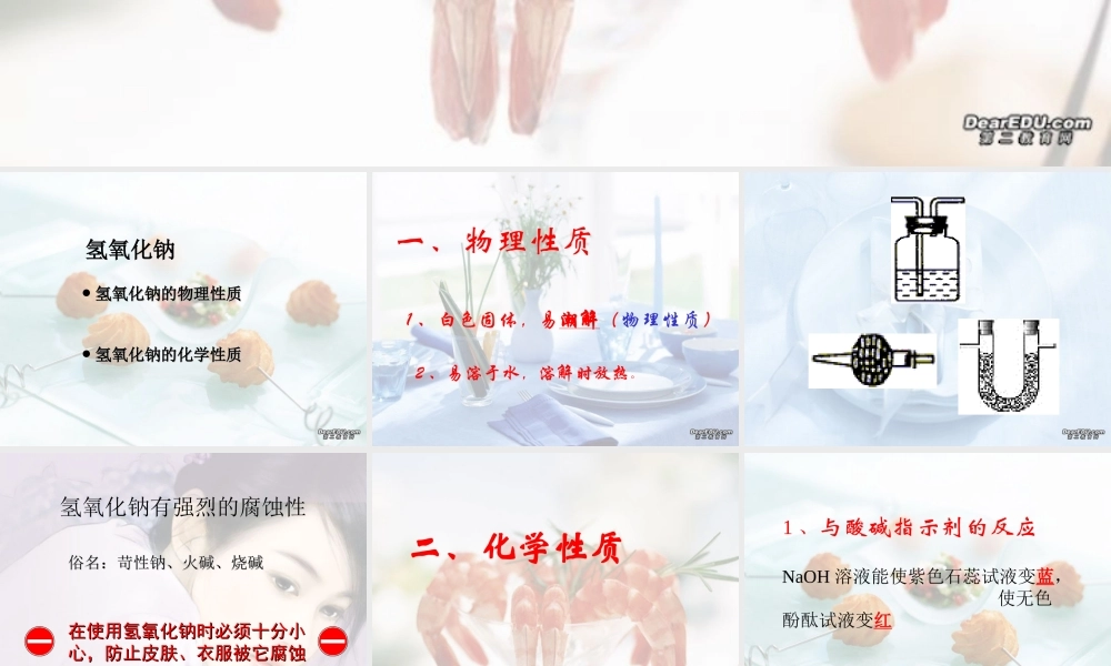 广西省壮族自治区初三化学常见的碱 碱的通性 课件