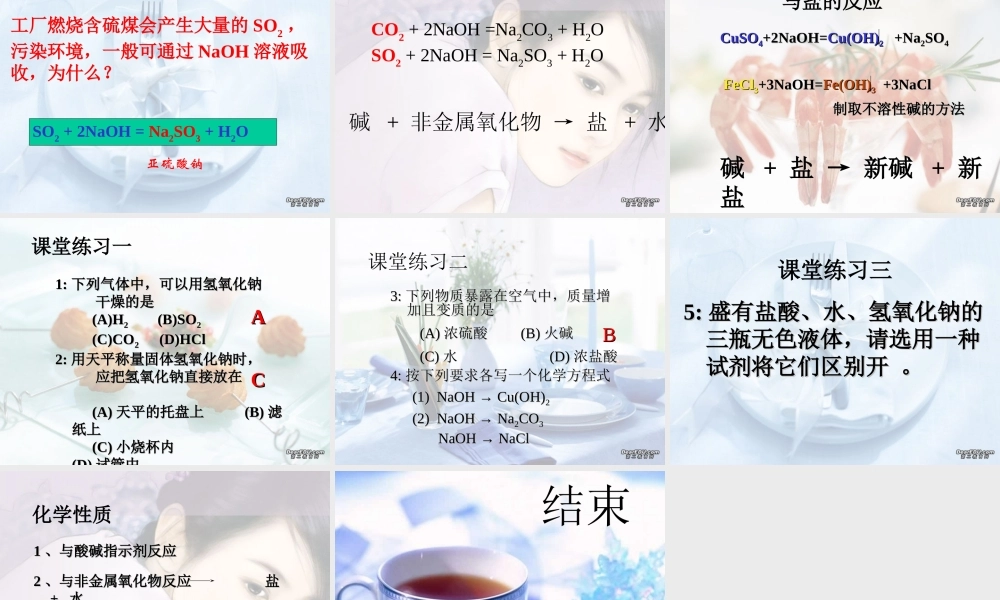 广西省壮族自治区初三化学常见的碱 碱的通性 课件