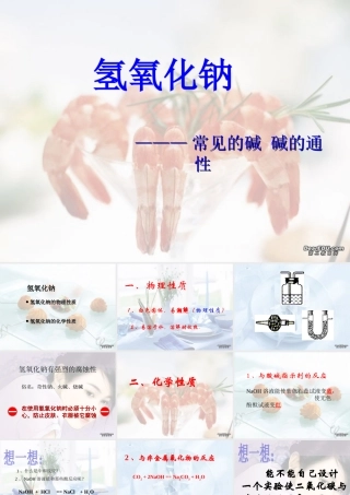 广西省壮族自治区初三化学常见的碱 碱的通性 课件