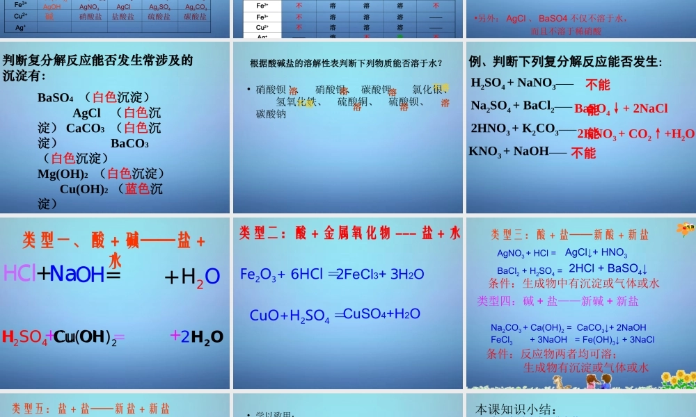 中考化学 复分解反应发生的条件复习课件 新人教版 课件