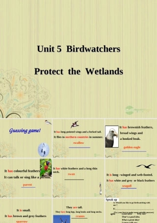 八年级英语上册(Unit 5 Birdwatchers)Integrated skills课件 牛津译林版 课件