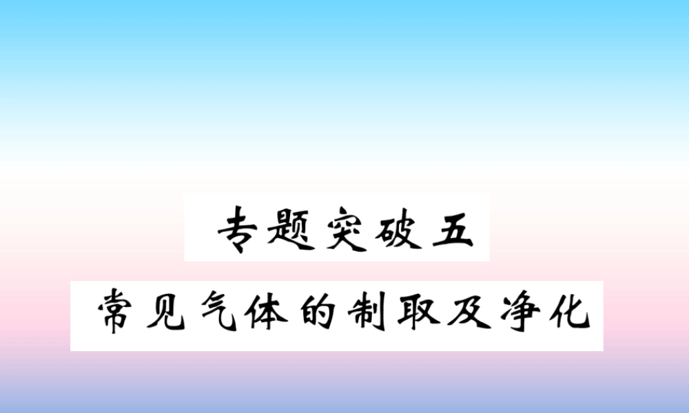 中考化学复习 第2编 重点专题突破篇 专题突破5 常见气体的制取及净化(精讲)课件
